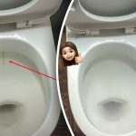 Ein einziges Produkt bringt Ihre Toilettenschüssel auf Hochglanz: Wie Sie Plaque und Schmutz in 15 Minuten beseitigen können Ein einziges Produkt bringt Ihre Toilettenschüssel auf Hochglanz: Wie Sie